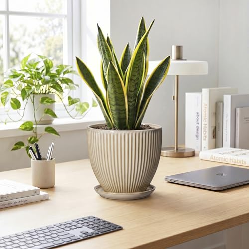 8 Inch Pots for Plants, Ceramic Planter with Saucer, Beige - color: Beige, size: 8 Inch