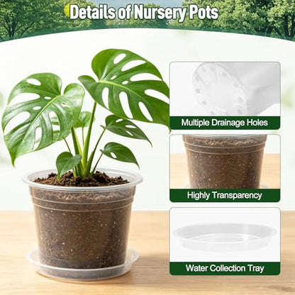 10/8/7/6 Inch Clear Nursery Pots with Drainage Holes and Saucers,12 Pack Large Clear Pots for Seedling Starter,Repotting,Growing Plants,Seedings,Flowers & Vegetables