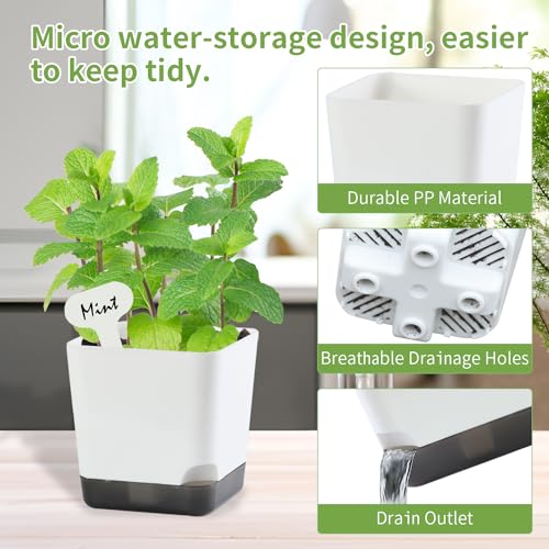 Oliz 3" Small Succulent Pots, 20pk Plastic Planters w/Drainage & Saucers - size: Mini White Pots 20 Pack