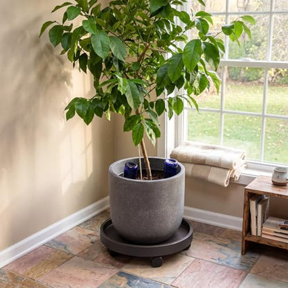 15.5" Plant Caddy with Wheels - Rolling Plant Caddy Total Capacity 352 lbs - size: 15.5"