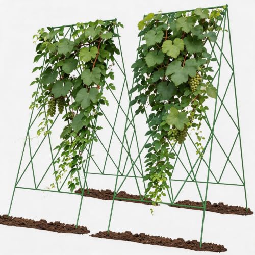 Cucumber Trellis 2 Pack,Foldable A-Frame Garden Trellis - color: Grass Green, size: 39.4" H