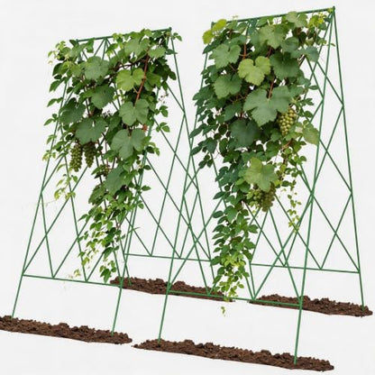 Cucumber Trellis 2 Pack,Foldable A-Frame Garden Trellis - color: Grass Green, size: 39.4" H