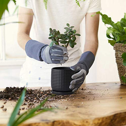 D'vine Dev Beaded Ceramic Pot with Saucer, 4 in, Ebony Matte, 27-C-Z-6 - color: Ebony Matte, size: 4.3 Inch