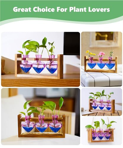 Nacome Plant Terrarium with Wooden Stand, 3 Heart Bulb Glass Vases - color: Purple