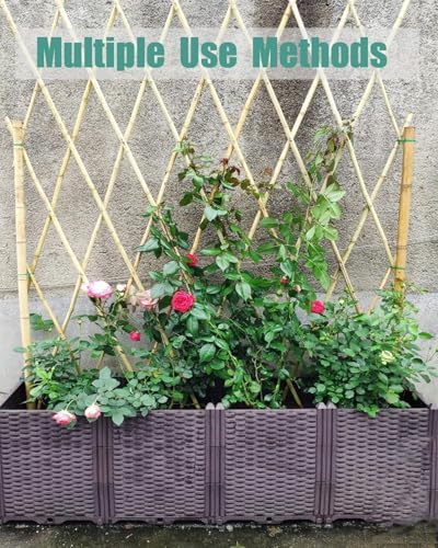 5 Ft Bamboo Stakes with 100 Twist Ties Natural Bamboo Garden Stakes for Dahlias Cucumber Grapes Pole Beans Trees Potted Dahlia Flowers and Climbing Plants - Pack of 60 - size: 58 INCH-60 PACK & Ties
