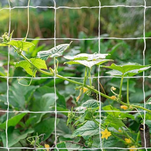 Tcamp Heavy-Duty Polyester Plant Trellis Netting - size: 6" Mesh (5*15 Ft) - 2Pack