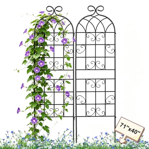 Lorenzo 71 x 40 Inch Rustic Iron Garden Trellis for Climbing Plants Outdoor, Black Metal Arch Decoration Plant Supporting Perfect for Roses Flower Cucumbers Courtyards Lawns Clematis - style: 2 Pack