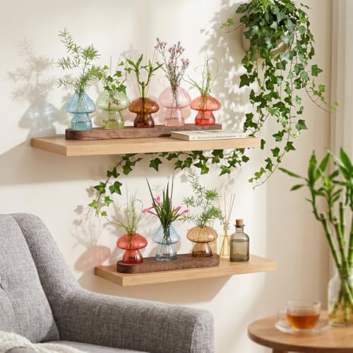 Mushroom Propagation Station, 3 Glass Vases, Wood Stand