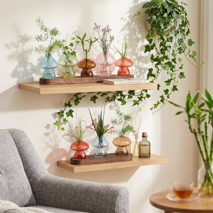 Mushroom Propagation Station, 3 Glass Vases, Wood Stand