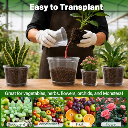Bluepro Clear Nursery Pots with Saucers, 6/8/10/12 Inch, 20-Pack - size: 6/8/10/12 Inch-20Pcs