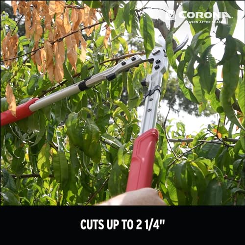 Corona Tools X Series Pro Bypass Lopper – 2-1/4″ Cutting Capacity Heavy-Duty Branch Cutter for Tree & Shrub Trimming