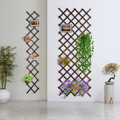 Expandable Garden Trellis Large Wooden Lattice Fence - color: 200x44cm