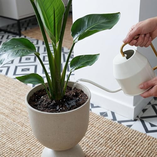 KOL 15 Inch Tall Planters, Beige Plastic Urn Planters, 2 Pack - color: Beige, size: Bundle: 15"+15"