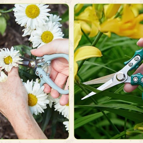 Modern Sprout Pruning Shears- Garden Snips-Herb Scissors- Chartreuse 1-Pack - color: Chartreuse