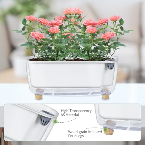 Oliz Self-Watering Planter with Coco Coir, Clear Modern Rectangular Pot