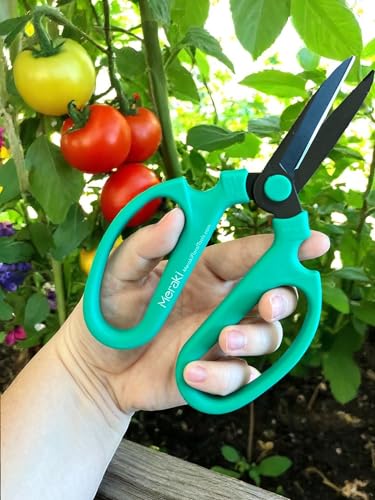 Garden Pruning Shears Scissors Carbon Steel Blades 7.6 Inch, Echinops - Teal - style: 7.6 inch Teal