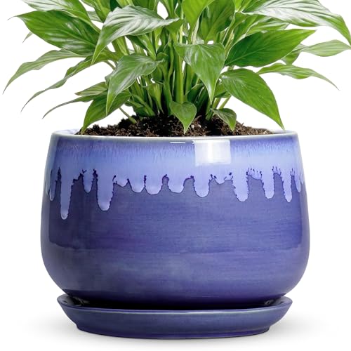 Ceramic Flower Pots, 7 Inch Indoor Planter with Drainage, Blue - size: 7 Inch, style: Blue