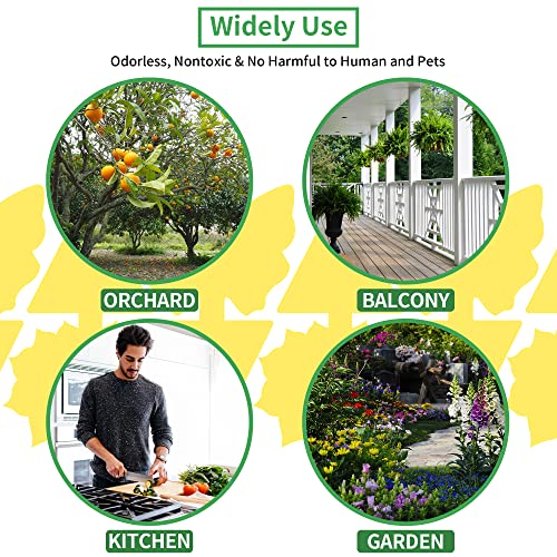 LULUCATCH Fruit Fly Sticky Trap 24 Pack, Yellow Sticky Trap Safe Gnat Traps, Super Sticky Fly Trap for Indoor, Outdoor, Kitchen, Insect Catcher for White Flies, Mosquitos, Fungus Gnats, Flying Insects - size: 24 Pack