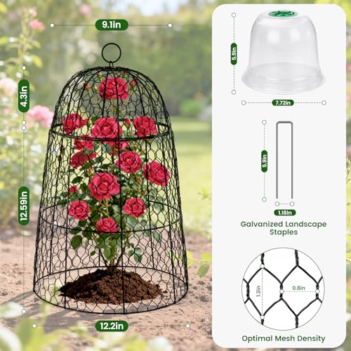 6 Pack XL Metal Garden Cloches for Plants, 17" Tall Chicken Wire Cloches - color: Black - 6 Pack