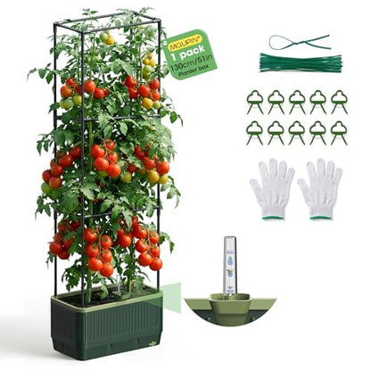 Raised Garden Bed Tomato Planter with Trellis, 52" Self Watering Tomato Planter with Water Level Indicator, Larger Rectangular Tomato Cages for Indoor & Outdoor Climbing Vegetable and Plants (1)