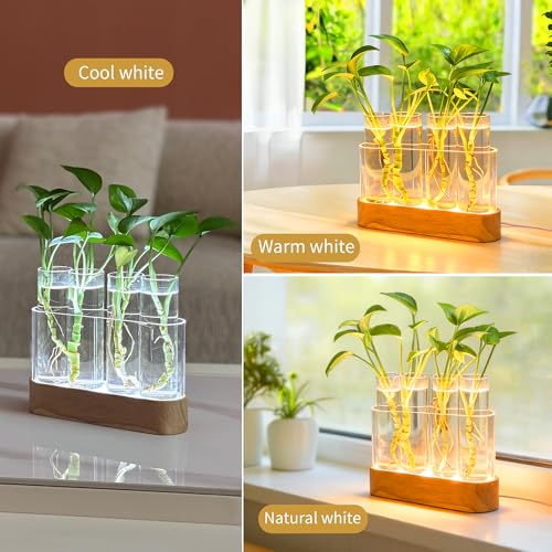 Plant Propagation Station with LED Grow Lights, 4 Glass Tubes & Oak Stand