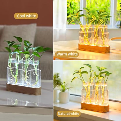 Plant Propagation Station with LED Grow Lights, 4 Glass Tubes & Oak Stand