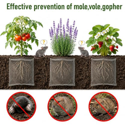 15 Gallon Gopher Baskets,24"x 24" Root Guard Proof Wire Baskets,304 Stainless Steel Plant Root Protector Cage（2 Pack） - size: 15 Gallon-2Pcs
