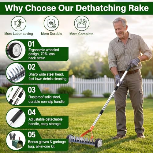 Adjustable Thatch Rake with Wheels - 38"-65" Handle, 21 & 11 Dual-Sided Steel Tines, Heavy-Duty Lawn Dethatching Rake for Cool & Warm Season Grass, Landscape and Lawn Care