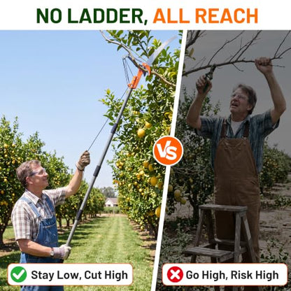 Walensee 10FT Pole Saw for Tree Trimming, Manual Pruner with Saw & Shears - size: 10FT
