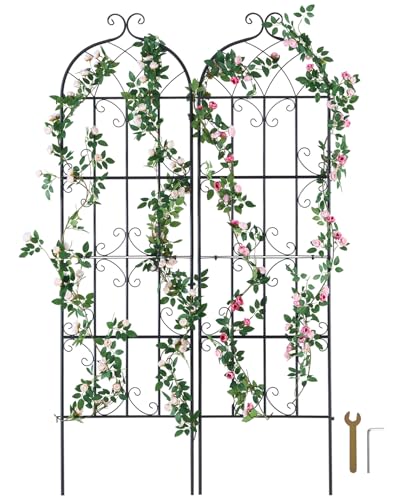 VEVOR 71 x 20 in, 2 Packs Rustproof Metal Garden Flower Trellis, Outdoor Climbing Rose & Cucumber Support, Decorative Clematis Trellis for Courtyards & Lawns - size: 71''Hx 20''W, style: 2Packs