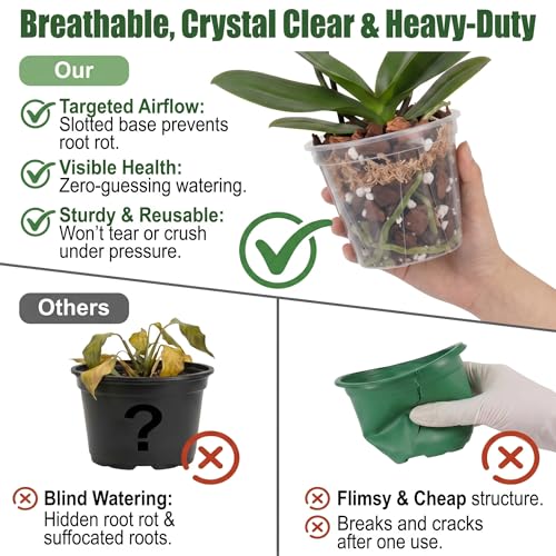 Root-Safe Clear Plant Pots for Indoor: Zero Transplant Shock for Orchids