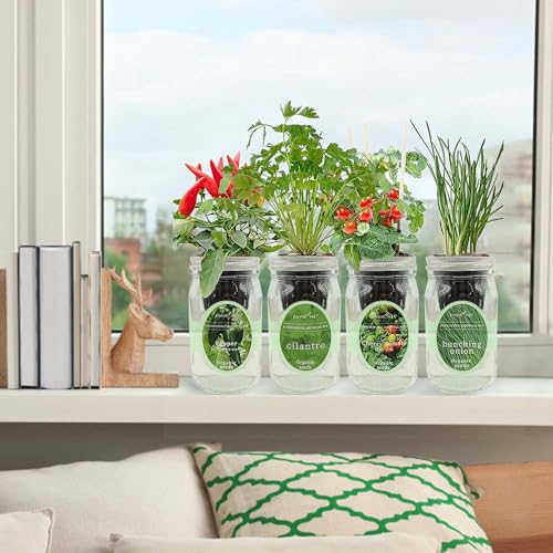 Hydroponic Mason Jar Indoor Garden Organic Seed Starter Kits - Zesty Salsa Growing Kits, Gardening Gift (Jalapeno Pepper, Cilantro, Cherry Tomato - Tiny Tim, Bunching Onion) - color: Zesty Salsa Growing Kits