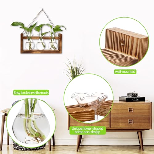 Plant Propagation Station Plant Terrarium Unique Birthday Gifts for Women - color: Transparent
