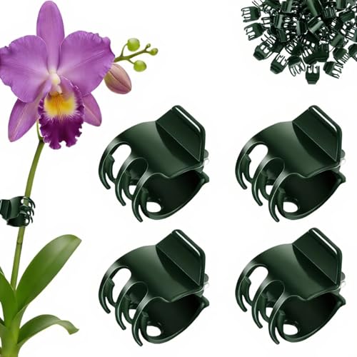 50Pcs Dark Green Large Orchid Plant Clips for Thick Stem Support - size: 50Pcs Large Size