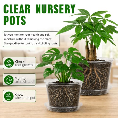 MIXC 12/10/8/6/5 Inch 20 Pack Clear Nursery Pots with Drainage & Sacuer - size: 12/10/8/6/5 IN*20 Pack