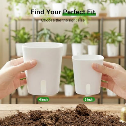 4" Self Watering Pots for Indoor Plants, 8 Pack Clear Plant Pots with Drainage, Plastic Nursery pots for Cuttings, Seedlings, Herb, African Violet, Water Level Indicator (8, 4") - size: 4"