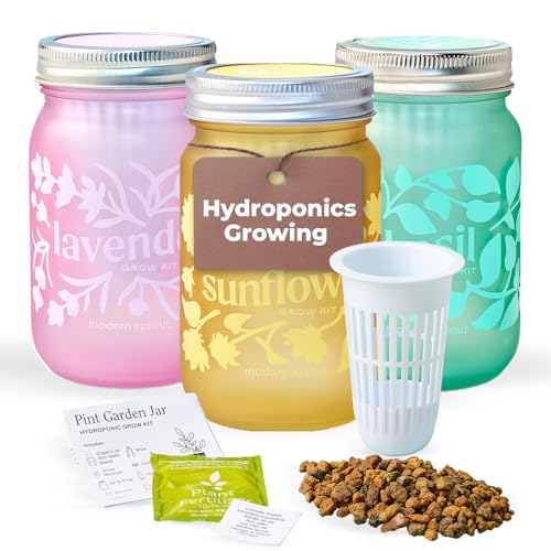 Modern Sprout Mason Garden Jar - Self-Watering Hydroponics Growing Kit-3Pk - color: Basil + Lavender + Sunflower