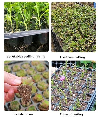 3Pcs Square Plastic Nursery Pots, Clear Plant Pot with Soft Silicone Base for Easy Transplant, Flower Pots with Drainage Holes, Reusable Seedling Pot (7.8x7.8x7.8cm) (7.8x7.8x7.8cm) - color: 3pcs