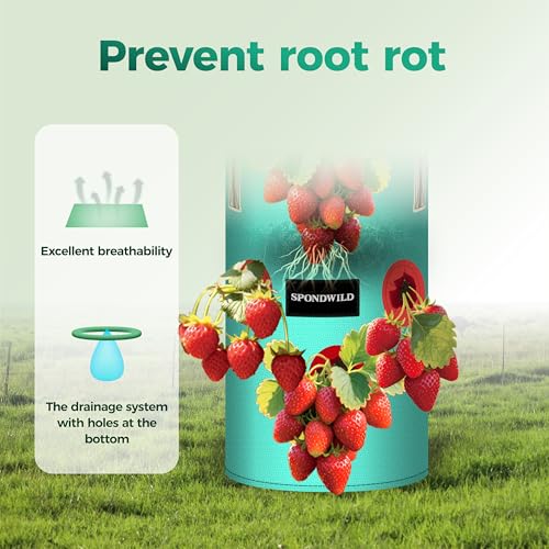 3 Pack 10 Gallon Hanging Strawberry Planter Bags for Tomatoes - size: 10 Gallon