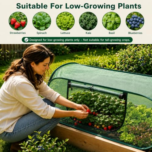 2Pack Pop-Up Mesh Plant Enclosure, Plant Cover for Vegetables Fruits - color: Dark Green