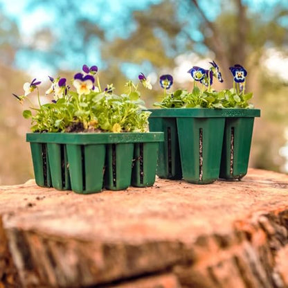 Vego garden Seedling Suite Products, 8 Pack Jumbo Seedling Trays with 10" x 20" Bottom Watering Trays - size: Jumbo