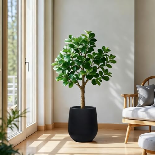 11.8" H Plastic Matte textured Black Planters with Drainage Holes and Plug - color: Black, size: 11.81"
