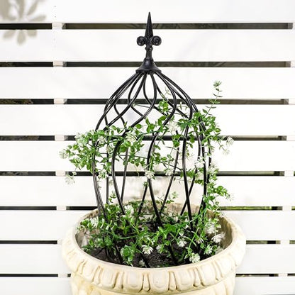 23" Obelisk Trellis for Climbing Plants & Vines Outdoor Decor - size: 23" x 9"