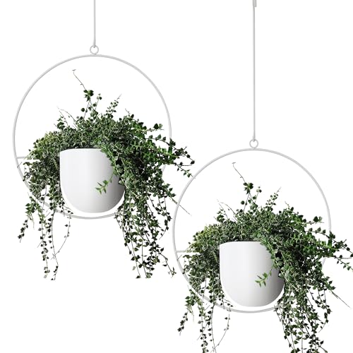 2 Pack Hanging Planters for Indoor Outdoor Plants Modern Metal Plant Hangers, Wall and Ceiling Hanging Plants Baskets Mid Century Minimalist Flower Pots Home Decor (White) - color: White, size: 2PCS