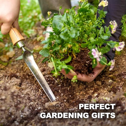 Berry&Bird Seeding Widger,Stainless Steel Seed Dibber Tool with Measuring Scale,Wooden Handle Garden Bulb Trowel for Seed Planting Tool Hand Shovel Planter Transplanter Dibber Soil Digginng - color: Seeding Widger, size: Small