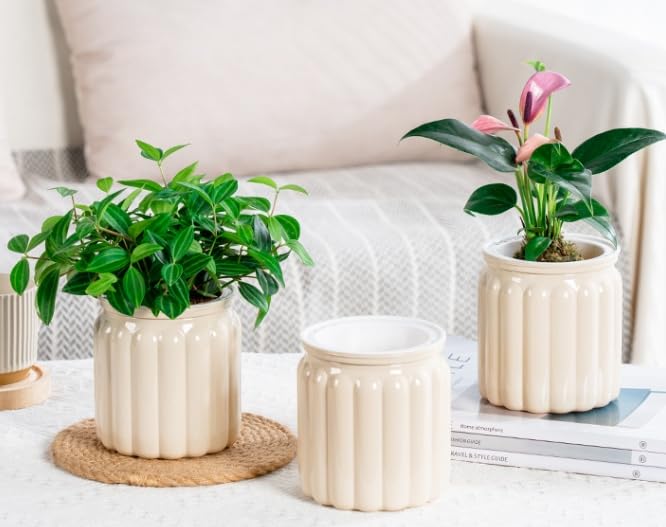 2PCS Self Watering Planters 4.5 Inch Self Watering Pots for Indoor Plants, African Violet Pots with Wick Rope, Flowers, Succulents, Herb, House Plants - color: Beige