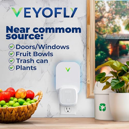 VEYOFLY Fruit Fly Traps Indoor Plug-in UV, Gnat Trap, 4 Device + 6 Refills - size: 4 Devices + 6 Refills