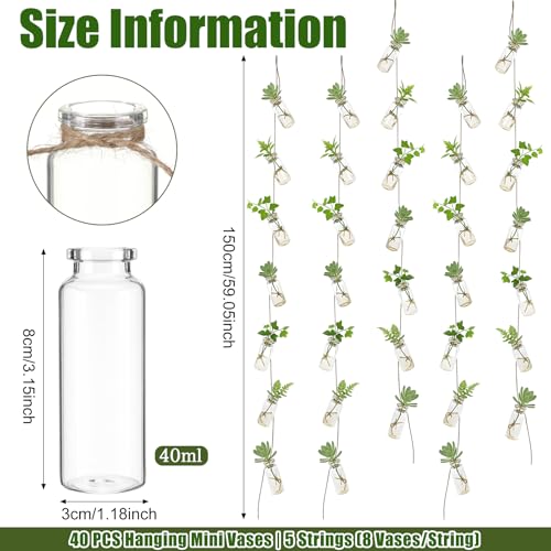 40 Pcs Hanging Plant Propagation Jars Mini Glass Hanging Planters Glass Hydroponic Plant Cutting Bottles with Rope Window Wall Planter for Indoor Plants Home Decor