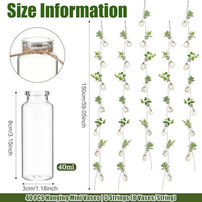 40 Pcs Hanging Plant Propagation Jars Mini Glass Hanging Planters Glass Hydroponic Plant Cutting Bottles with Rope Window Wall Planter for Indoor Plants Home Decor