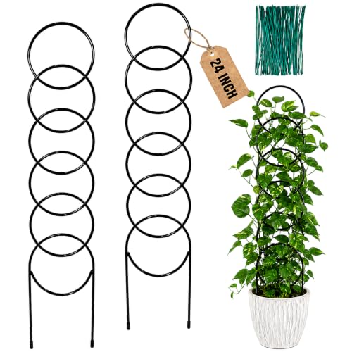 24 Inch Plant Trellis Indoor for Climbing Plants, Metal Plant Trellis